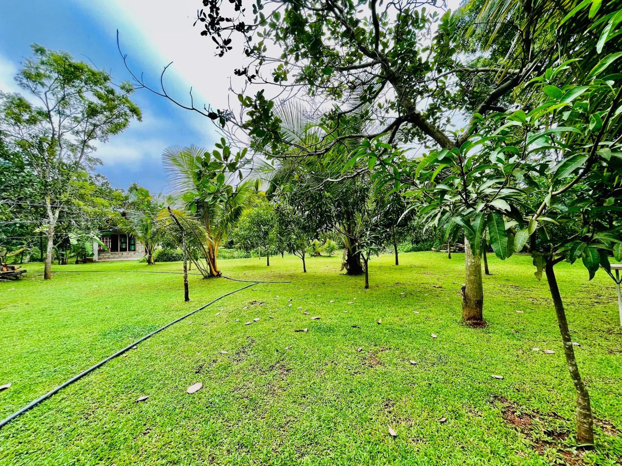 Green Cottage Anuradhapura Kültér fotó